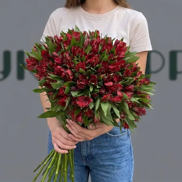 Букет из 25 красных Альстромерий на Ленте