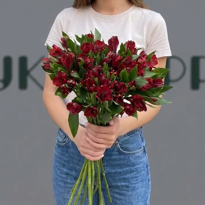Букет из 9 красных Альстромерий на Ленте — купить в Кирове, Букетберри