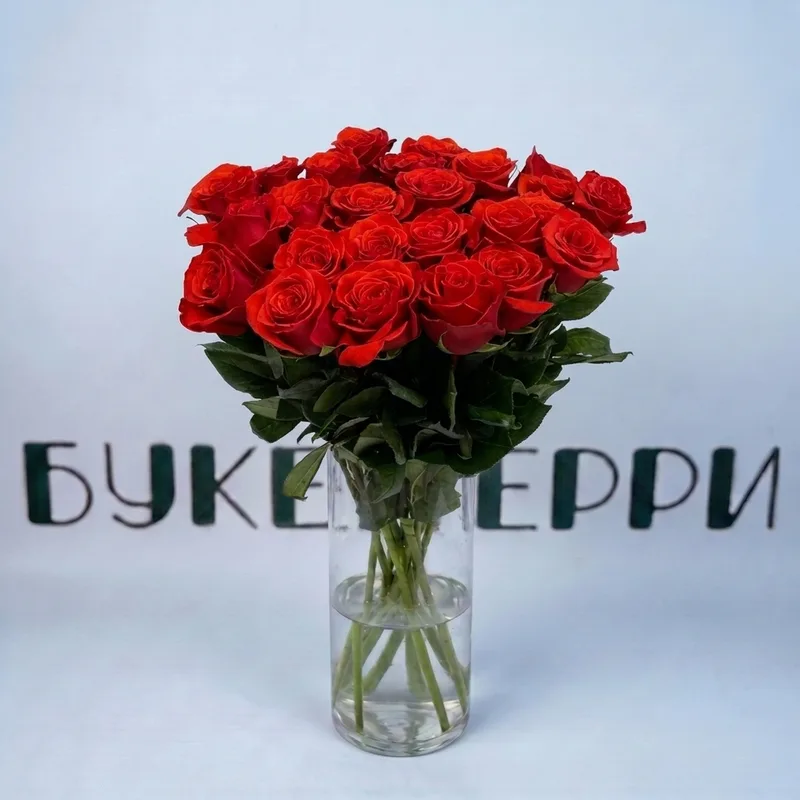 Роза 60см Nina