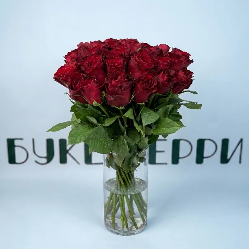 Роза 40см бордовая