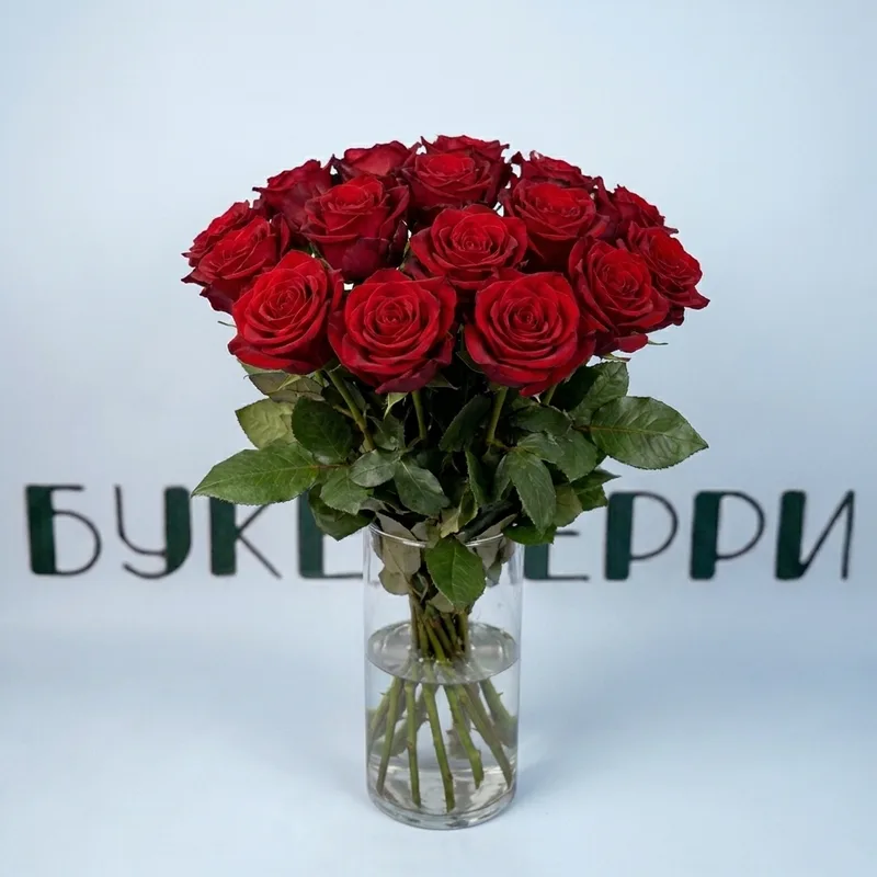 Роза 60см Explorer