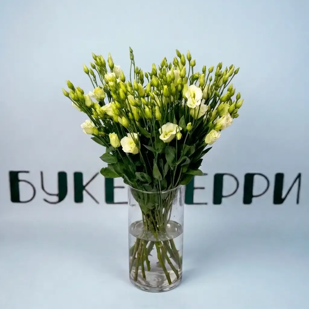 Лизиантус Rosita Green — купить в Кирове, Букетберри