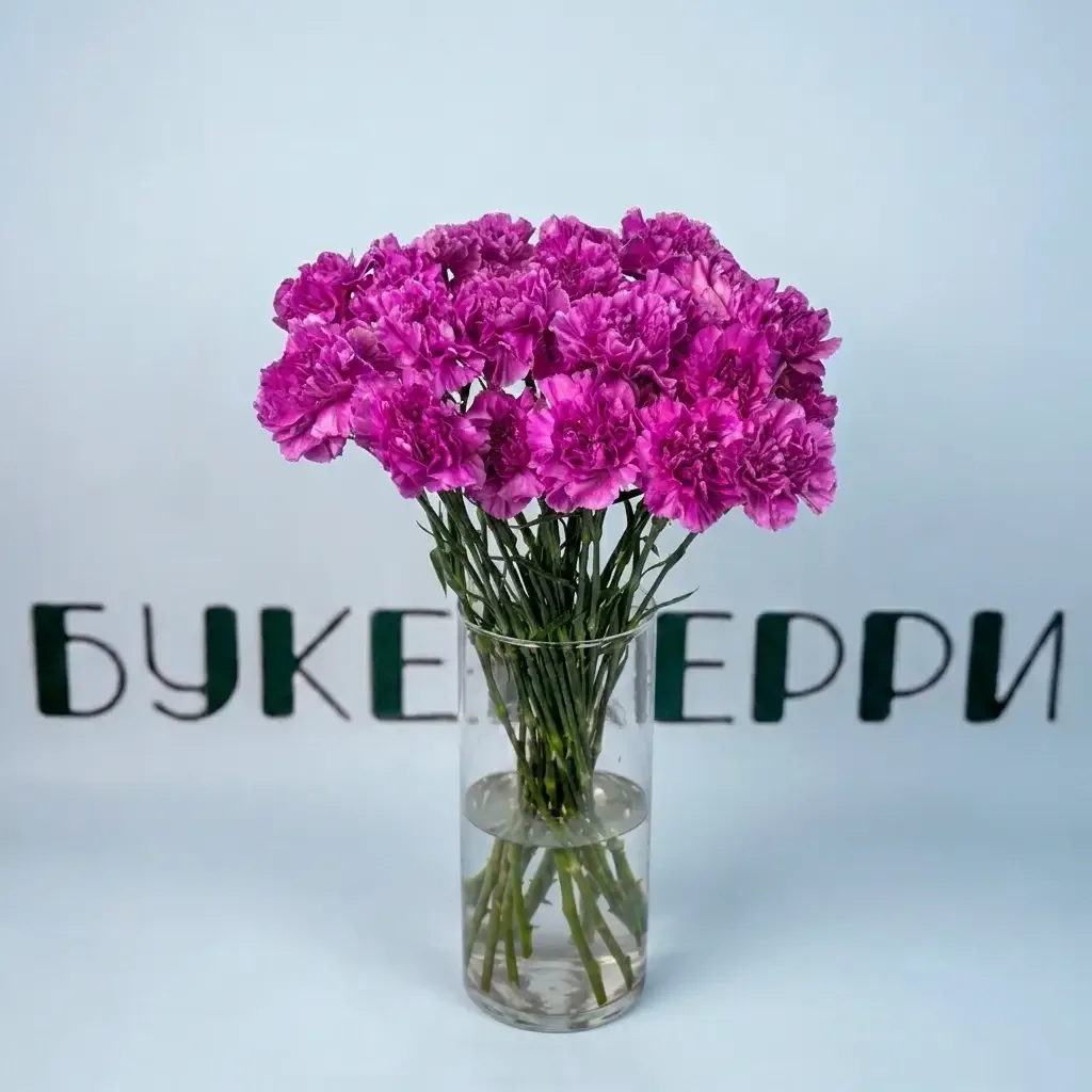 Гвоздика LAV FARIDA — купить в Кирове, Букетберри